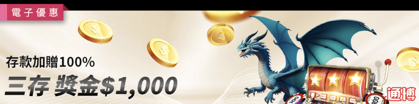 電子限定三存100%